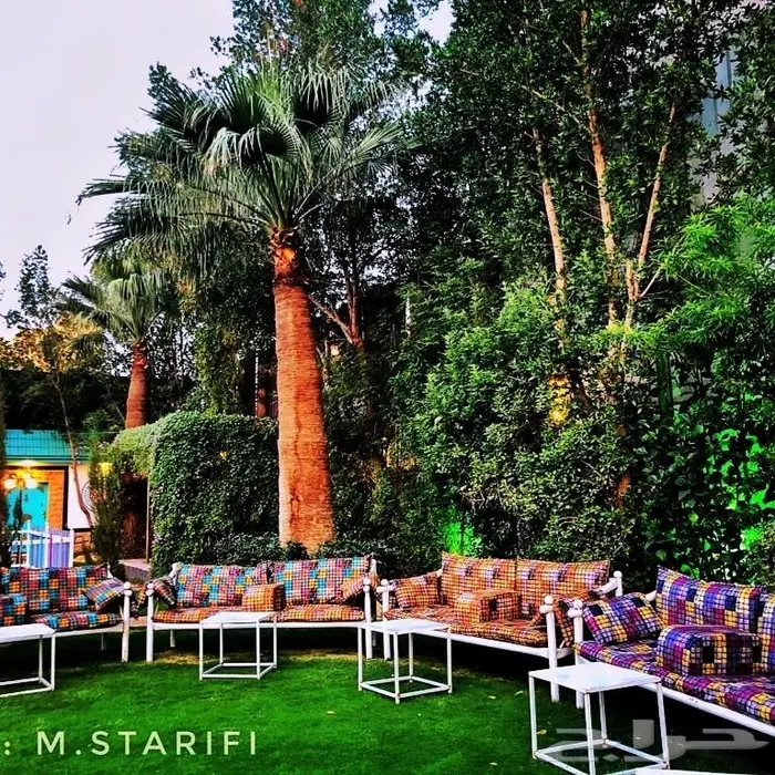 عزيمتك .عشاء 2