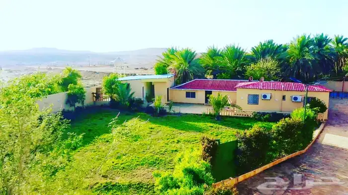 مزرعة للايجار اليومي في سدير 9