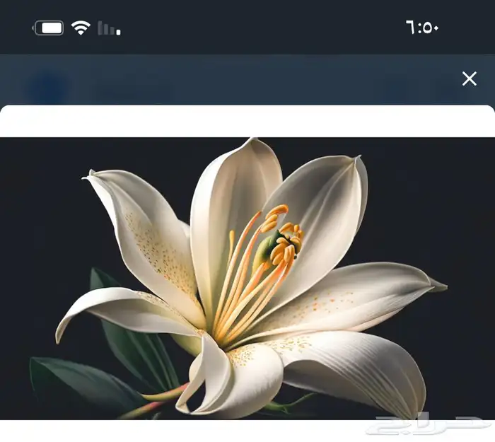 لوحات جدارية ايطارات براويز 3
