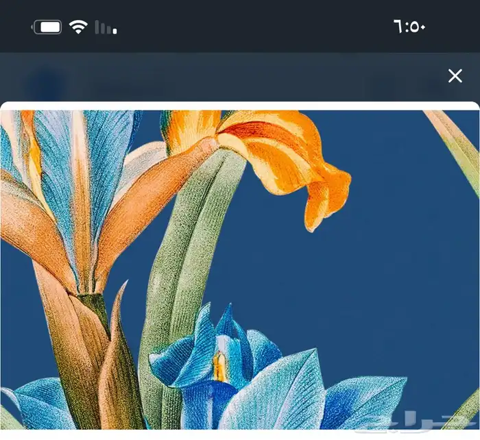 لوحات جدارية ايطارات براويز 4