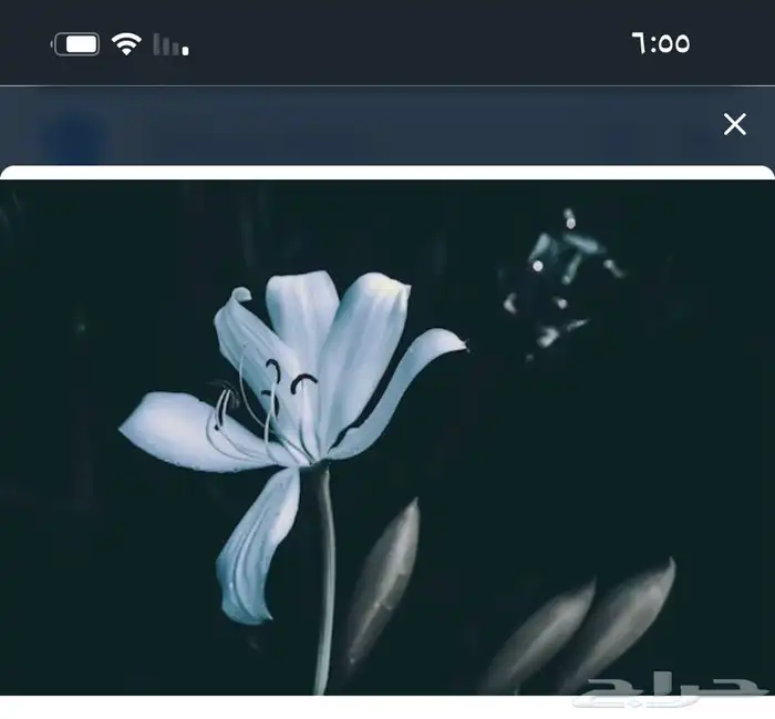 لوحات جدارية ايطارات براويز 11