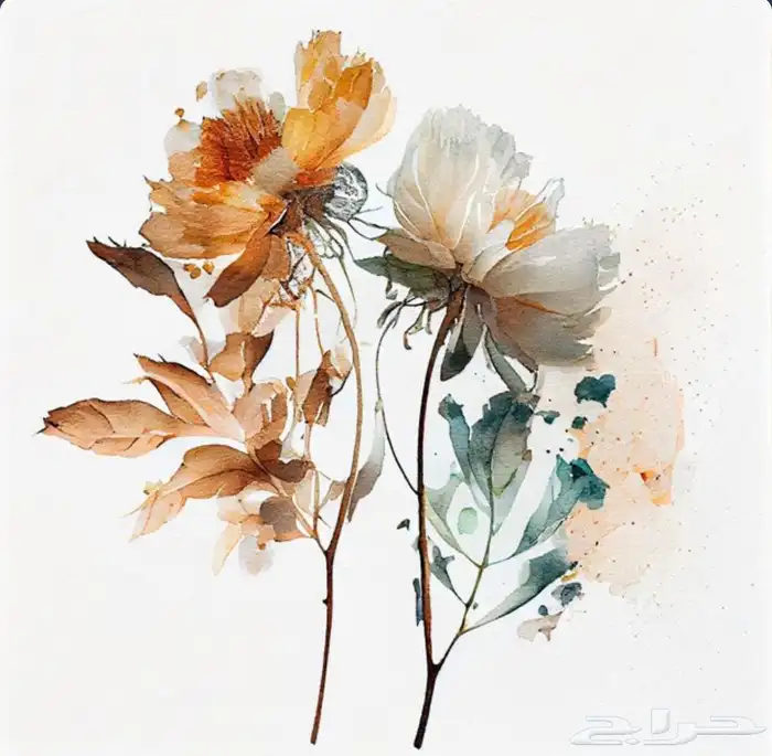 لوحات جدارية ايطارات براويز 2