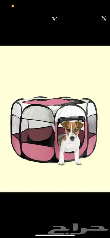 مستلزمات حيونات اليفه 52