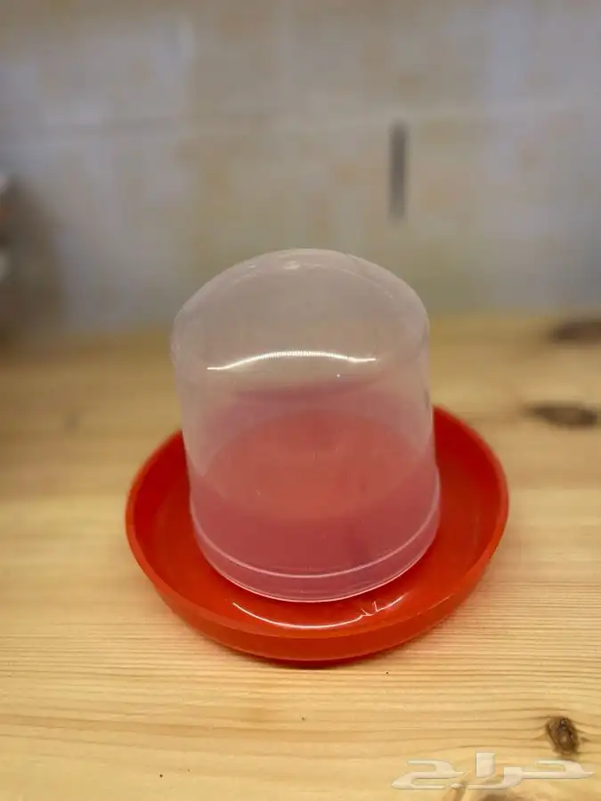 مستلزمات حيونات اليفه 13