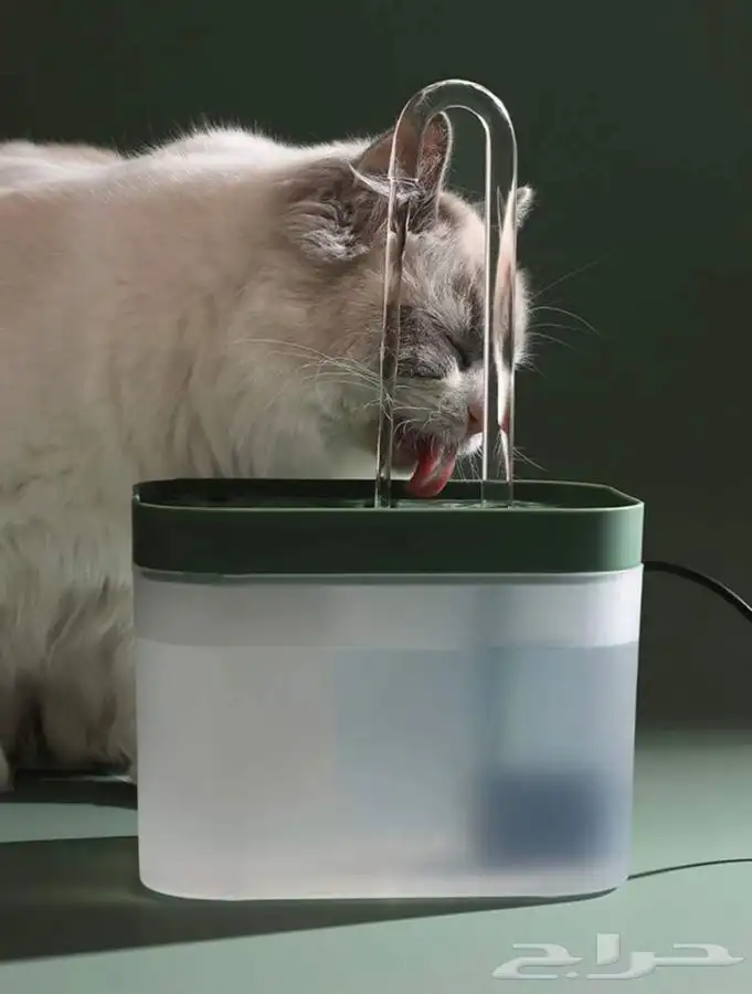 مستلزمات حيونات اليفه 61