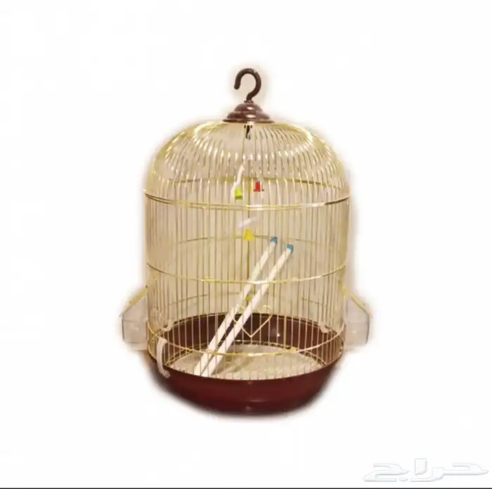 مستلزمات حيونات اليفه 40