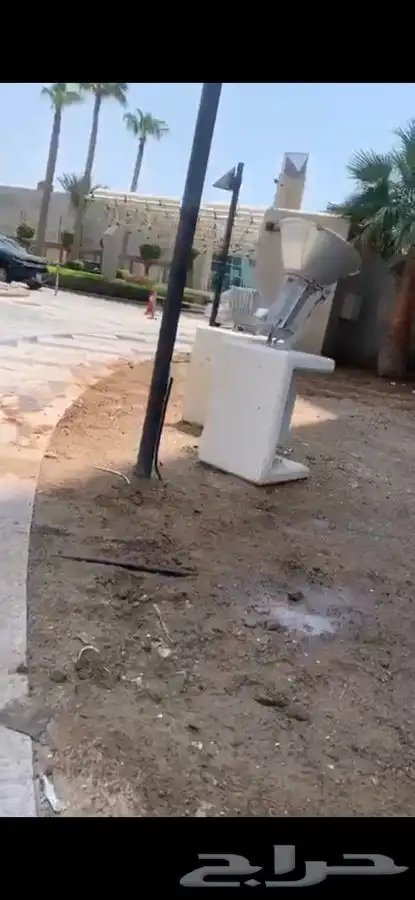 ثيل نجيله عشب اخضر 19