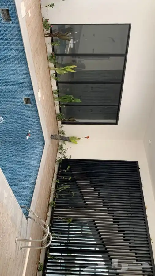 ثيل نجيله عشب اخضر 59