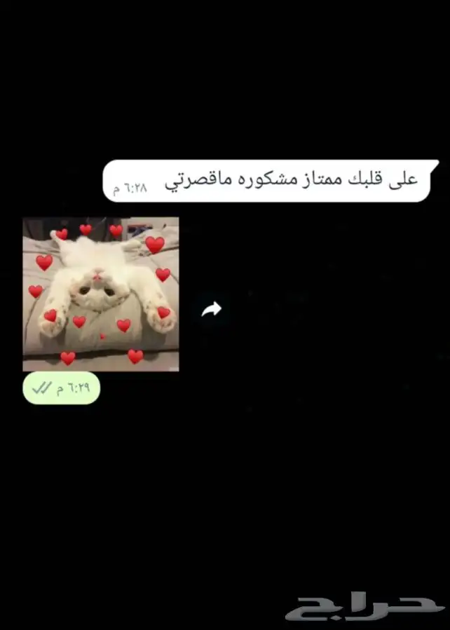 مفرزنات سمبوسه لذيذه 30