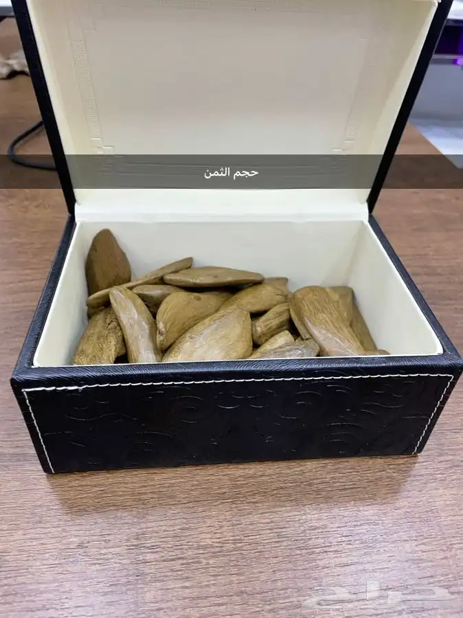 بخور مروكي بيور 10
