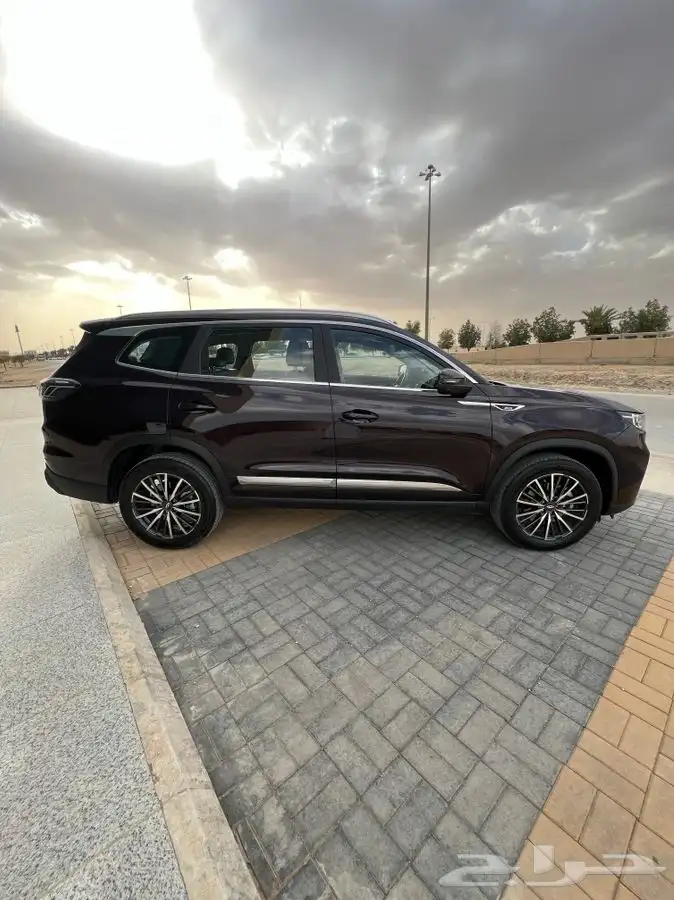 للتنازل - تيجو 8 بروماكس - Cherry Tiggo ProMax 2022 0