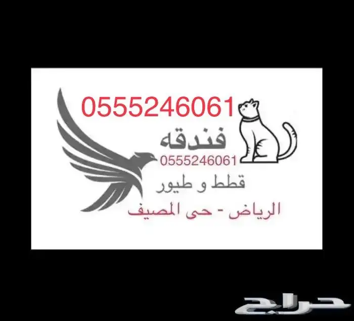 فندقه قطط - فندقة طيور -61 60 24 55 05 الرياض 2