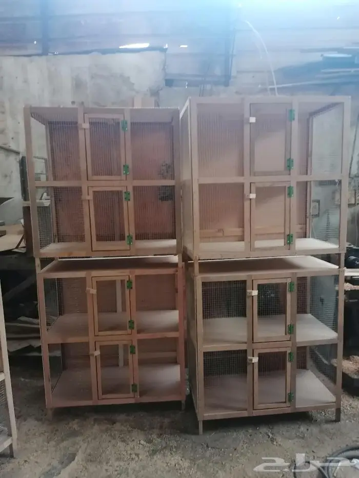 ينبع البحر محاكر حمام 10