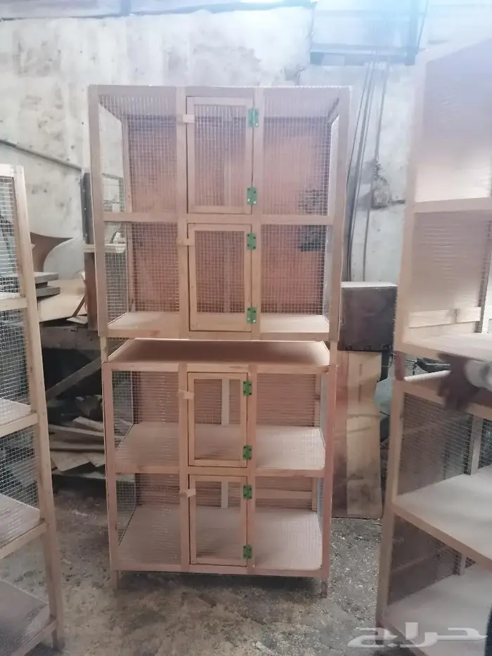 ينبع البحر محاكر حمام 12