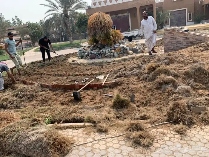 ثيل نجيله عشب اخضر 3