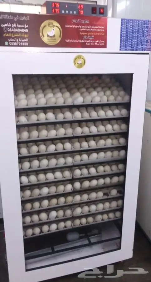 فقاسات الياسريه 7