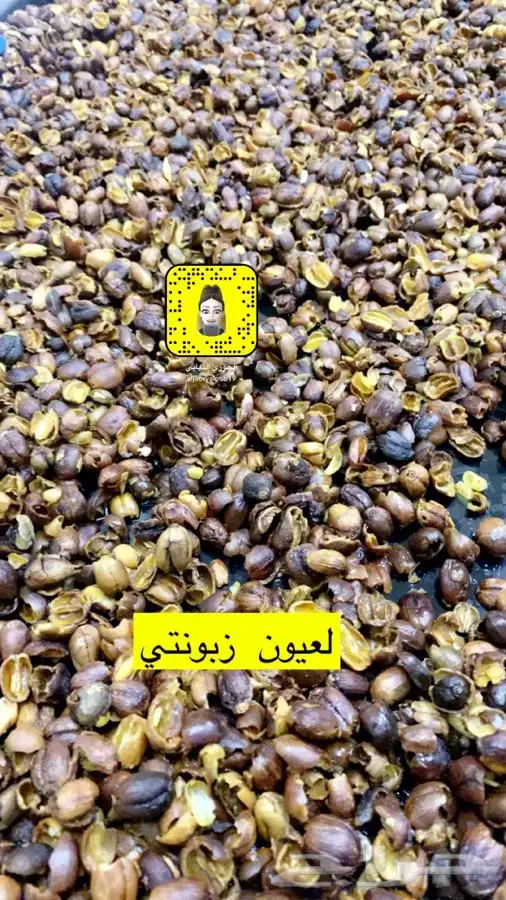 قشر قهوة وبهارات قهوة حريم وبهارات اكل لذيذة 5