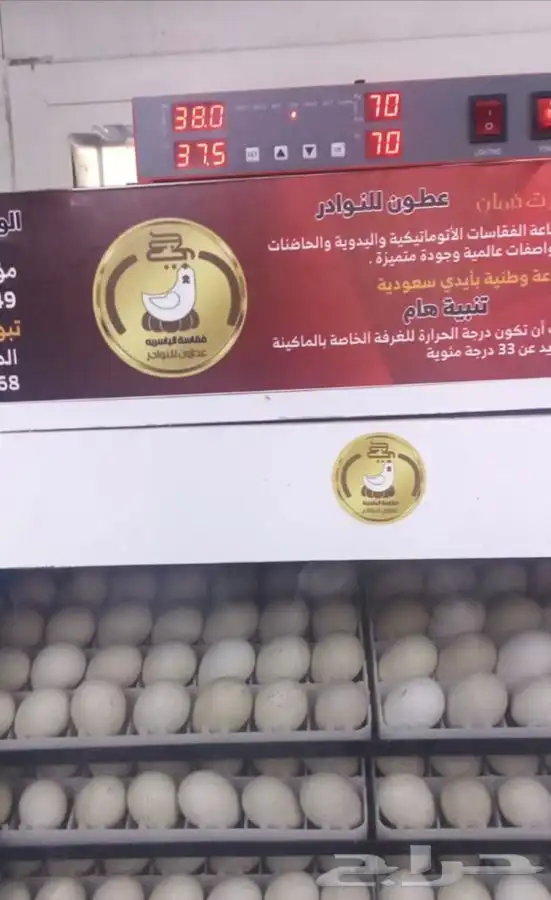 فقاسات الياسريه 9