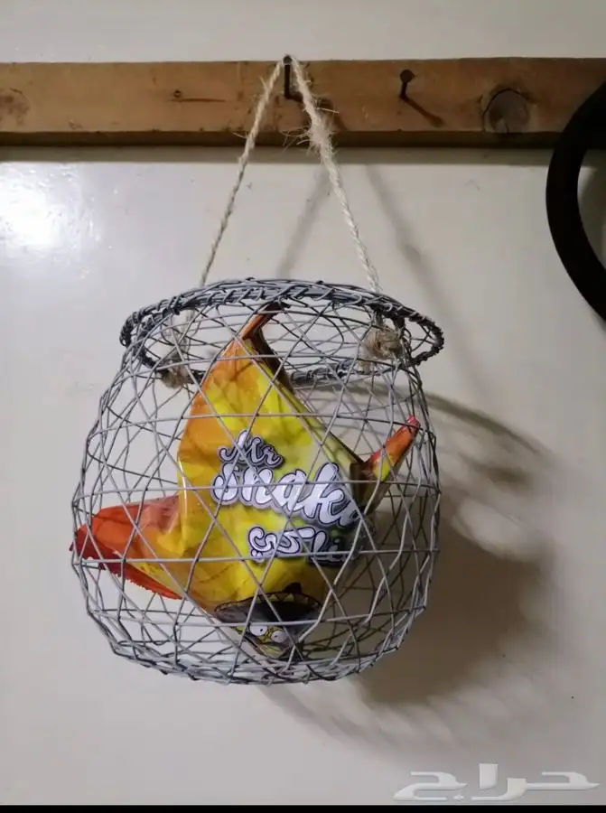 توزيعات قرقعان قراقير 1