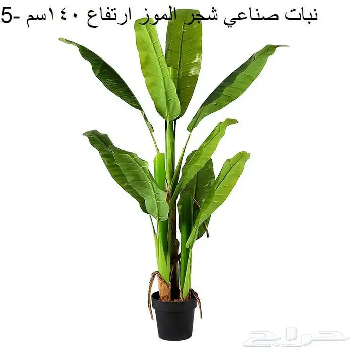 عشب جداري وبديل الخشب بالجمله 30