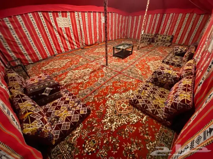 استراحة ومخيم زهرة الطايف 85