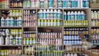 شركه مكافحه الحشرات بالخبر 2