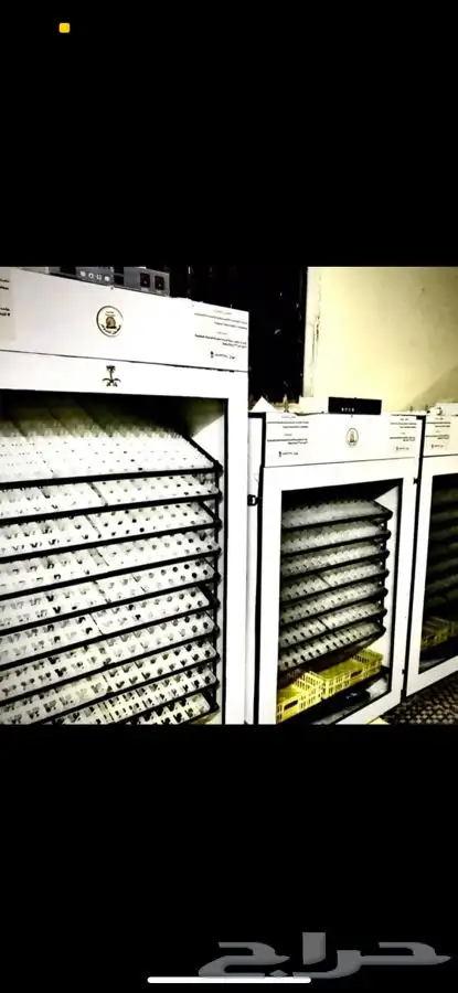 فقاسات الياسريه 18