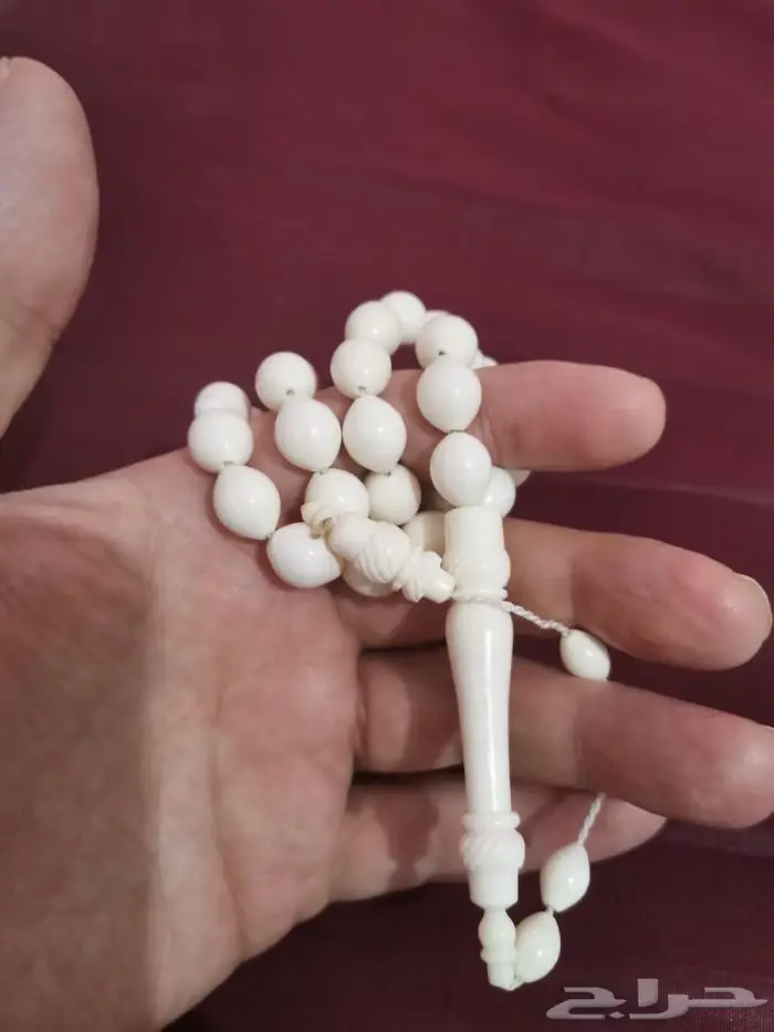سبحة عظم جمل طبيعي 3