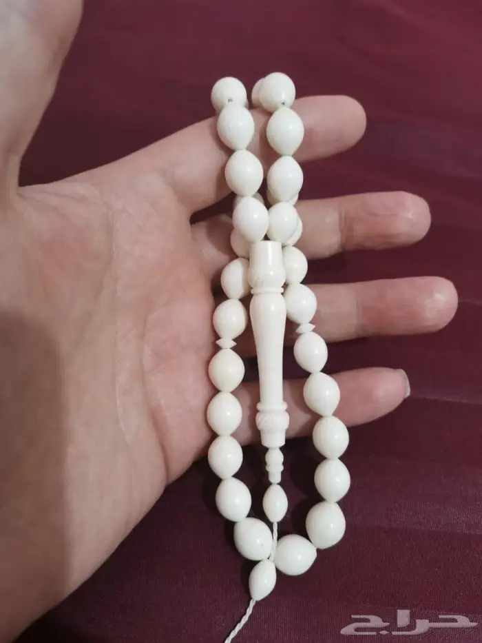 سبحة عظم جمل طبيعي 0