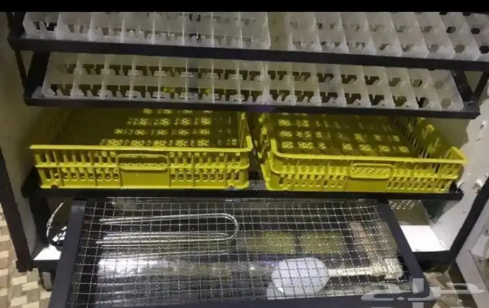 فقاسات الياسريه 10