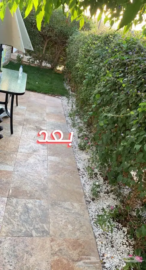 زرع حدائق تصميم و تنسيق حدائق 58