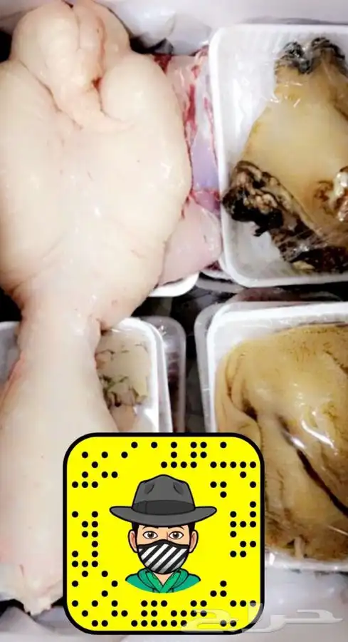 ذبايح خرفان رخال حريه من غنم شهران بجازان مع السلخ وتوصيل 5