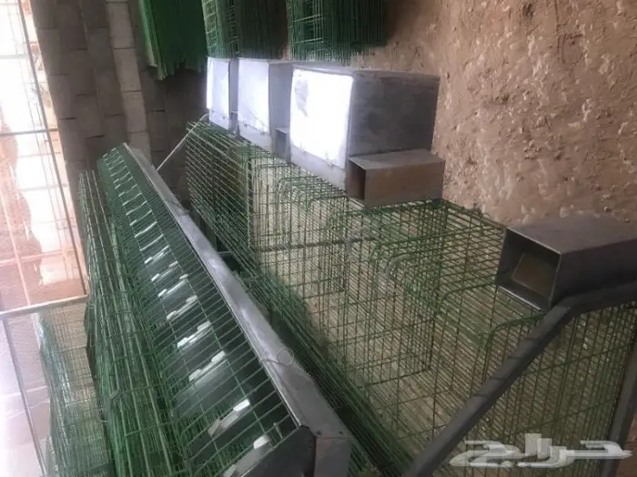 للبيع بطارية ارانب جديدة 0