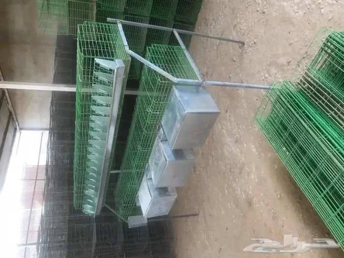 للبيع بطارية ارانب جديدة 1