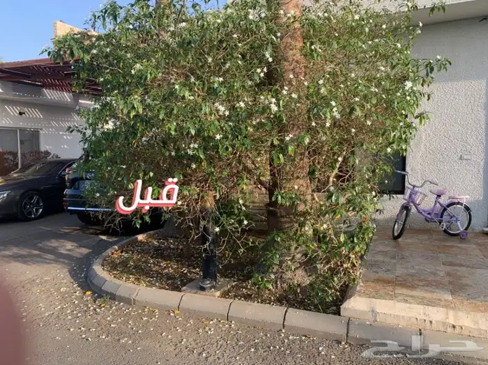 زرع حدائق تصميم و تنسيق حدائق 53