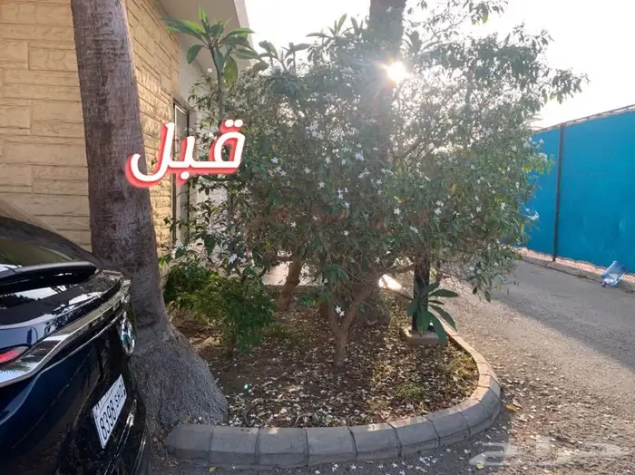 زرع حدائق تصميم و تنسيق حدائق 52