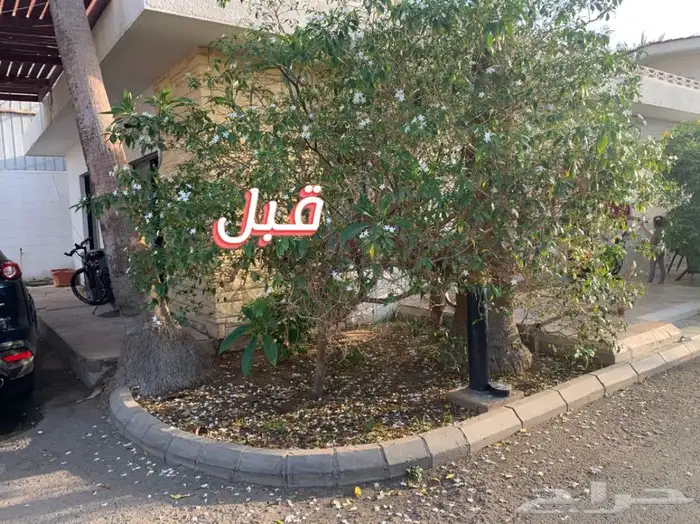 زرع حدائق تصميم و تنسيق حدائق 51