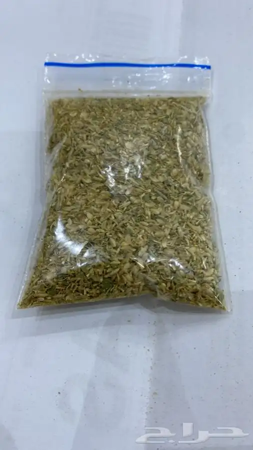 بذور القيصوم للبيع 6
