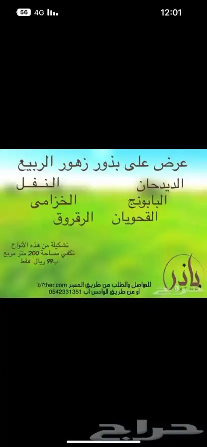 متجر باذر لبيع جميع انواع البذور 1