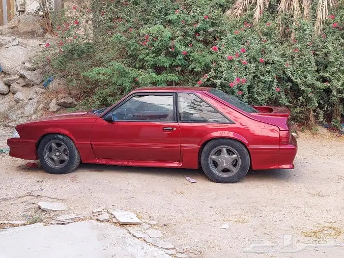 موستنج 1989 للبيع( ليس تراث) 2