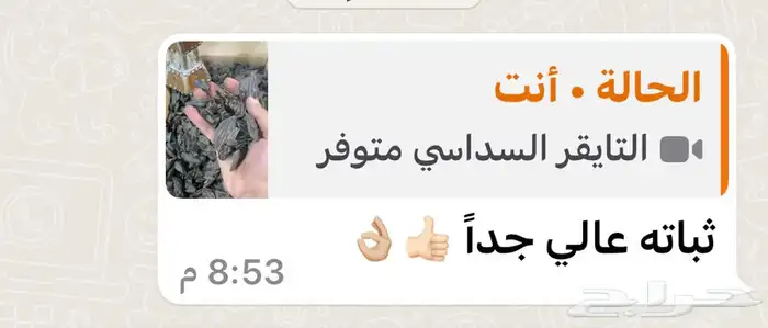 افضل دقة مروكي محسن بيور 8
