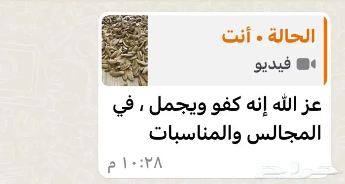 افضل دقة مروكي محسن بيور 10