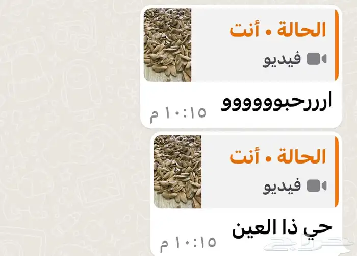 افضل دقة مروكي محسن بيور 12