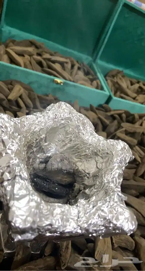 عود مروكي بيور 1