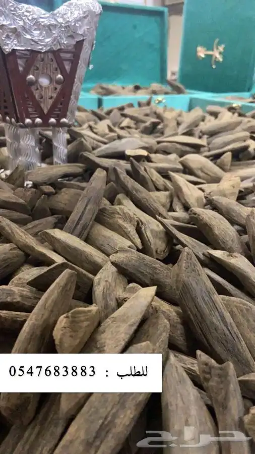 عود مروكي بيور 0