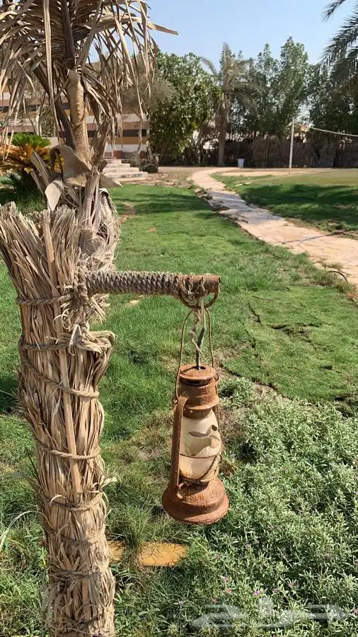 تصميم وتنسيق وصيانة حدائق 24