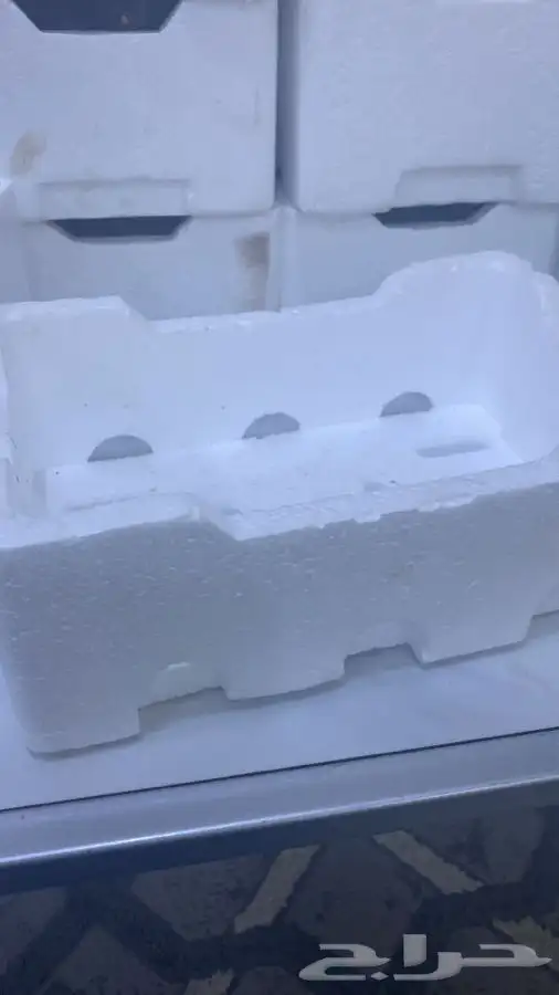 عجوه فاخرره حبه كبيره 2