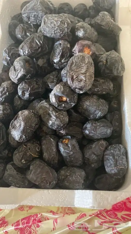 عجوه فاخرره حبه كبيره 3