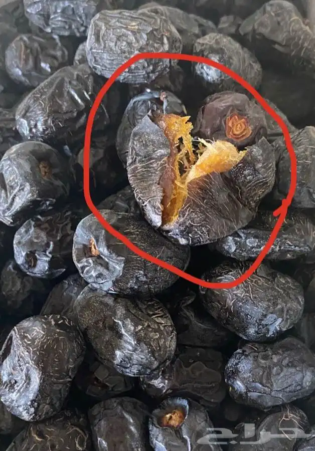 عجوه فاخرره حبه كبيره 5