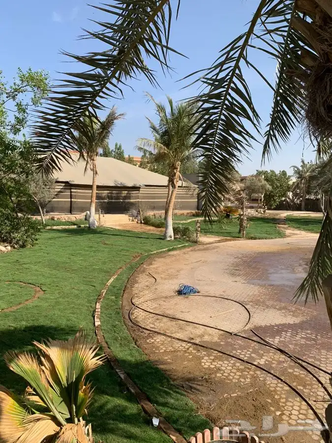 تصميم وتنسيق وصيانة حدائق 21